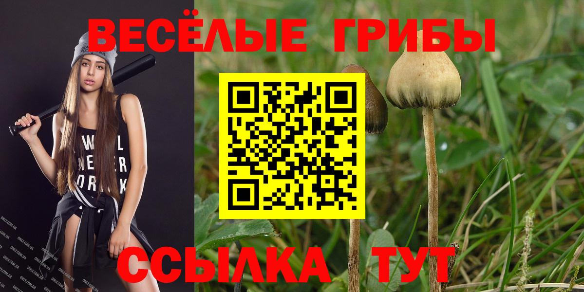 Бутурлиновка  Псилоцибиновые грибы GOLDEN TEACHER  Галлюциногенные грибы Psilocybine cubensis  Вход с VPN 